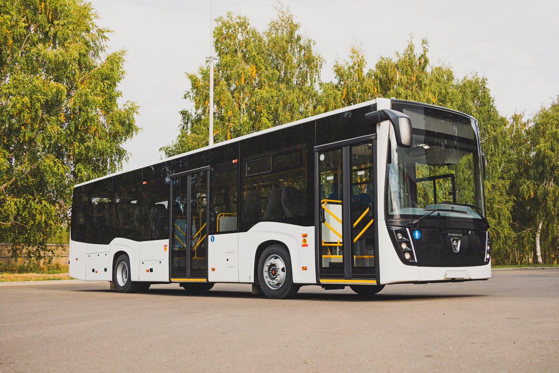 Автобус НЕФАЗ-5299-0000031-52